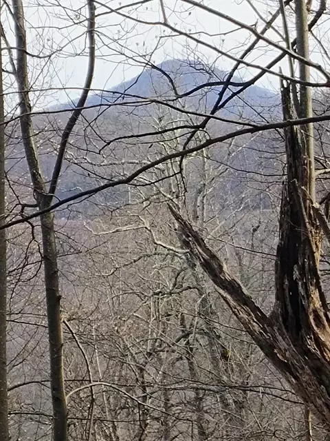 0 Bent Mountain Rd, Bent Mountain, VA 24059 photo 8