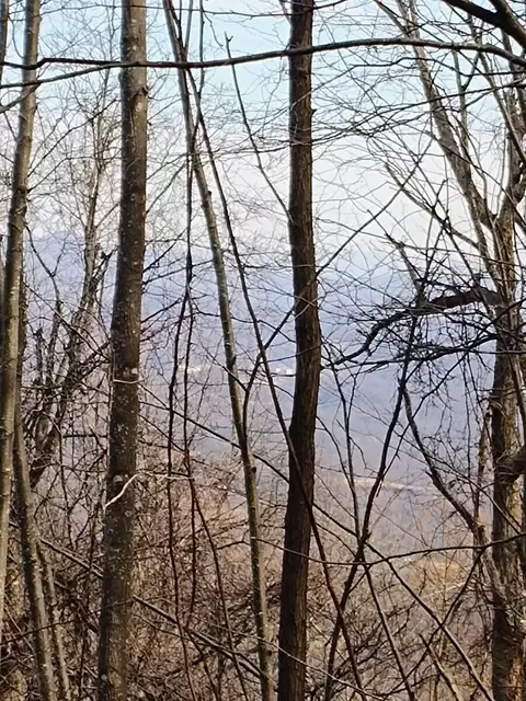 0 Bent Mountain Rd, Bent Mountain, VA 24059 photo 13
