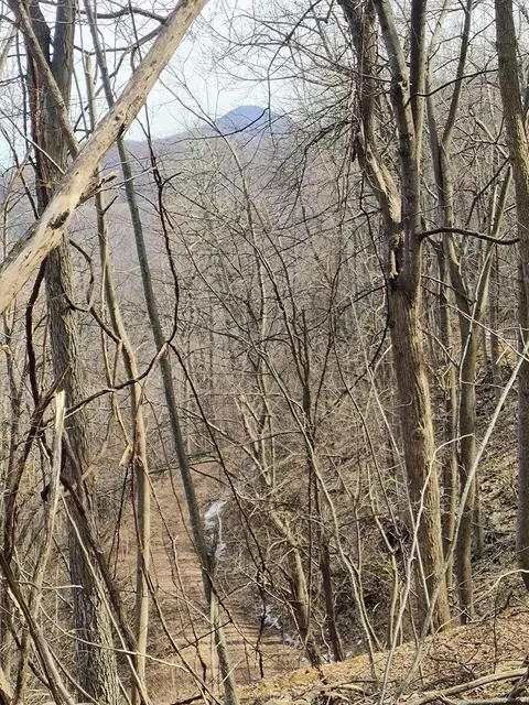0 Bent Mountain Rd, Bent Mountain, VA 24059 photo 10