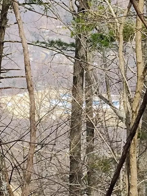0 Bent Mountain Rd, Bent Mountain, VA 24059 photo 14