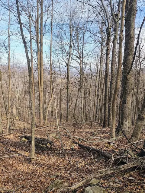 0 Bent Mountain Rd, Bent Mountain, VA 24059 photo 5