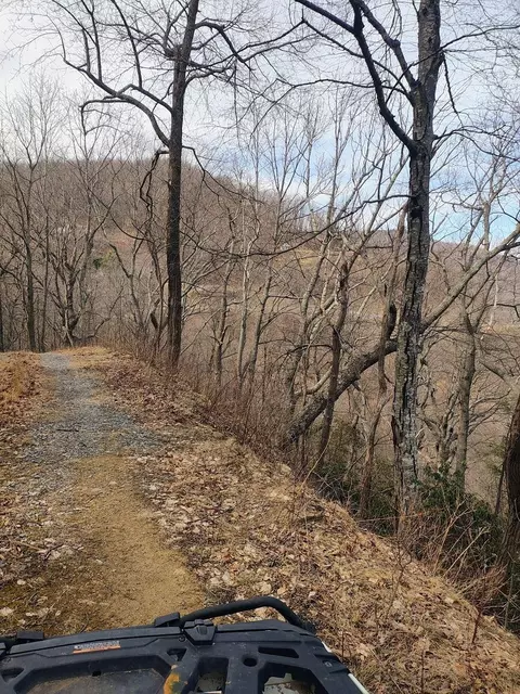 0 Bent Mountain Rd, Bent Mountain, VA 24059 photo 18