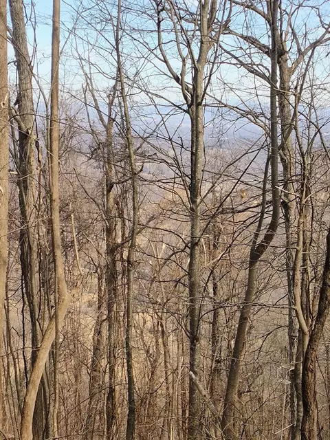 0 Bent Mountain Rd, Bent Mountain, VA 24059 photo 11
