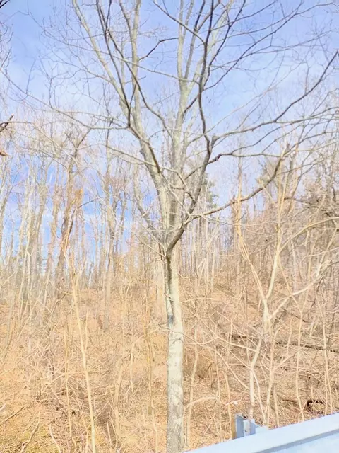 0 Bent Mountain Rd, Bent Mountain, VA 24059 photo 20