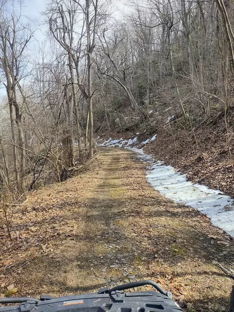 0 Bent Mountain Rd, Bent Mountain, VA 24059 photo 3