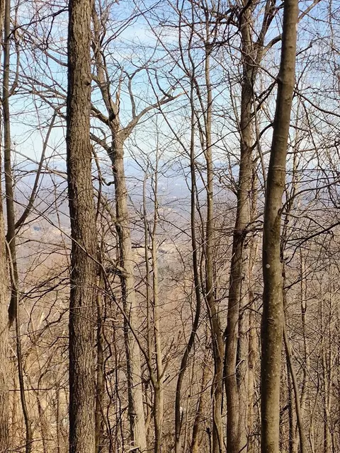 0 Bent Mountain Rd, Bent Mountain, VA 24059