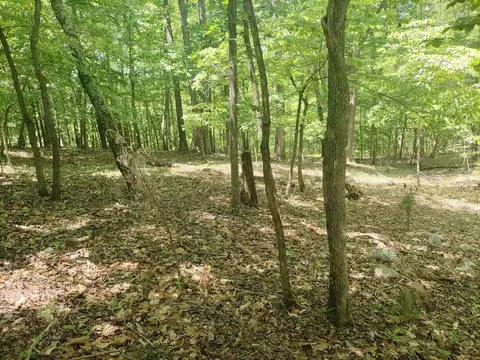 lot15 Penhook Pointe Cir, Penhook, VA 24137 photo 7