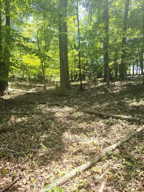 lot15 Penhook Pointe Cir, Penhook, VA 24137 photo 6