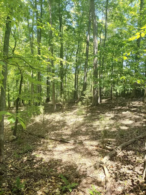 lot15 Penhook Pointe Cir, Penhook, VA 24137 photo 9