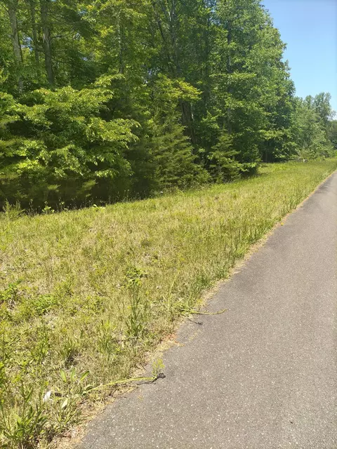 lot15 Penhook Pointe Cir, Penhook, VA 24137 photo 4