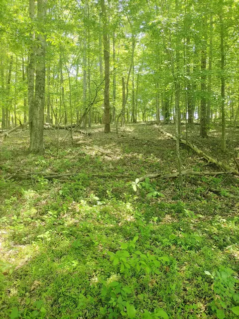 lot15 Penhook Pointe Cir, Penhook, VA 24137 photo 5