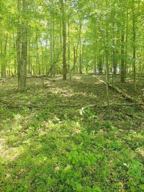 lot15 Penhook Pointe Cir, Penhook, VA 24137 photo 8