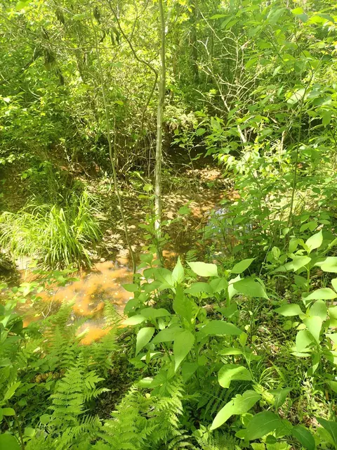 lot15 Penhook Pointe Cir, Penhook, VA 24137 photo 12