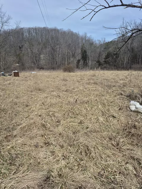 1075 Lithia Rd, Buchanan, VA 24066