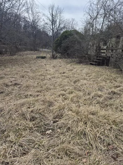 2201 Lithia Rd, Buchanan, VA 24066