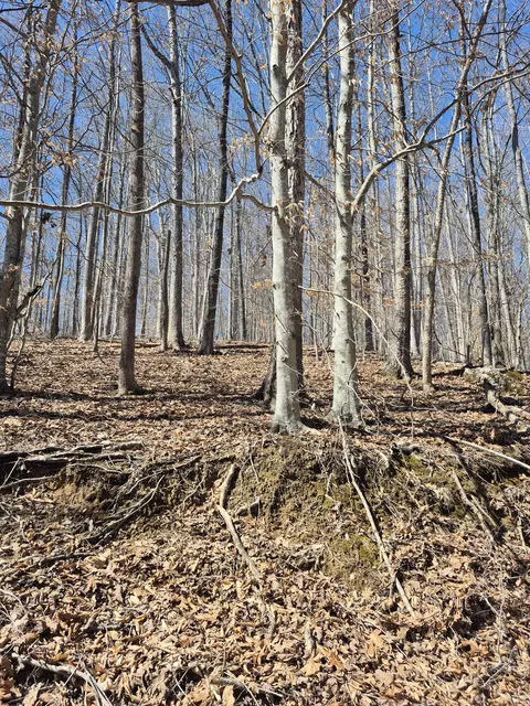0 Walkers Dr, Buchanan, VA 24066