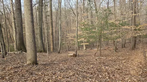 lot60 Cherrywood Ln, Moneta, VA 24121