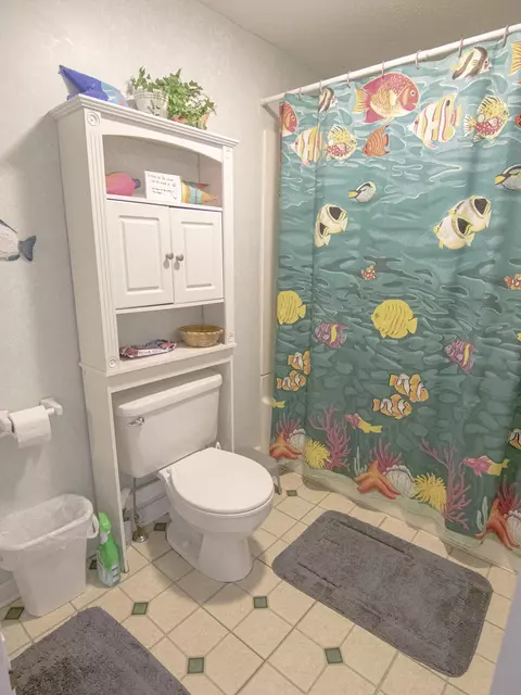 Bath - 281 Waterlocked Rd, Penhook, VA 24137 photo 2 of 3