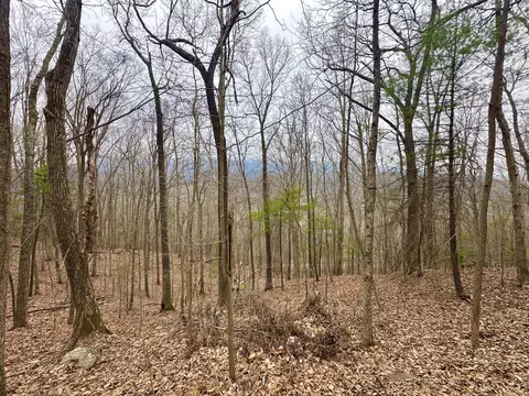 0 Taylor Ln, Covington, VA 24426