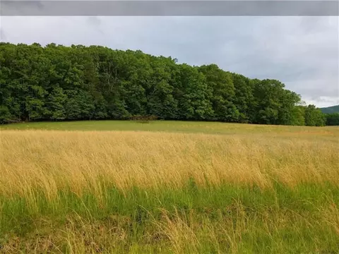 lot55 Cahill Ln, New Castle, VA 24127
