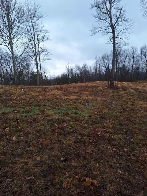 0 Johnnys Ridge Rd, Ferrum, VA 24088