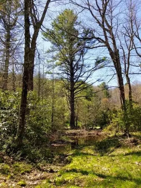 11210 Bottom Creek Rd, Bent Mountain, VA 24059