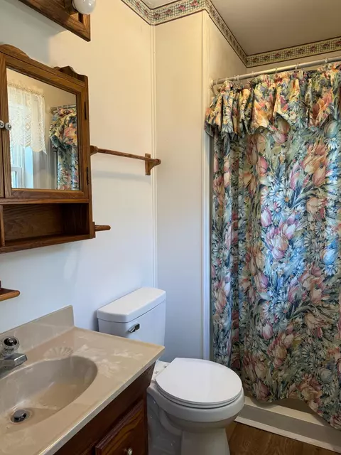 Bath - 1615 Dolly Ann Dr, Covington, VA 24426 photo 2 of 2
