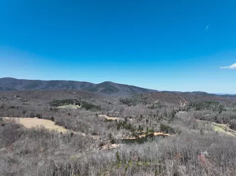 0 Blueberry Ln, Patrick Springs, VA 24133
