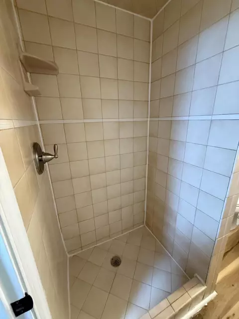 Bath - 723 Pyrtle Dr, Salem, VA 24153 photo 3 of 3