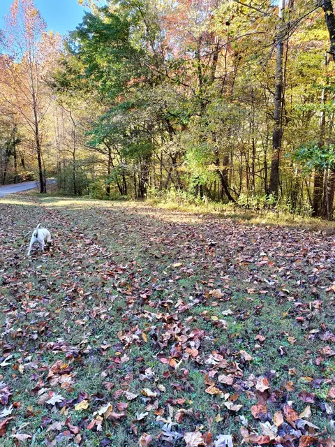 lot49 Gap Bridge Rd, Moneta, VA 24121