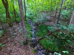 lot61 Lakepointe Cove Ct, Glade Hill, VA 24092