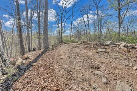 Other - 5396 Goodview Rd, Goodview, VA 24095 photo 39 of 48