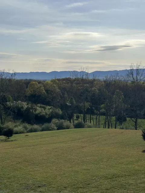 1410 Flowing Springs Rd, Buchanan, VA 24066 photo 61