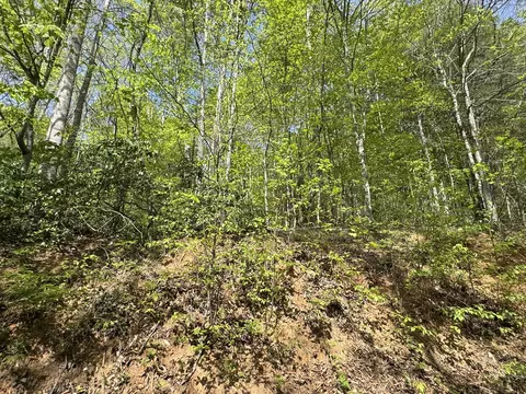 0 Dry Hill Rd, Ferrum, VA 24088 photo 9