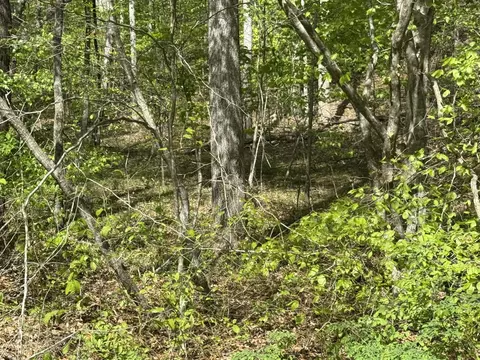 0 Dry Hill Rd, Ferrum, VA 24088 photo 6