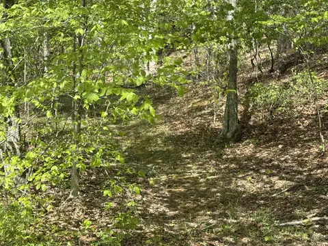0 Dry Hill Rd, Ferrum, VA 24088 photo 5