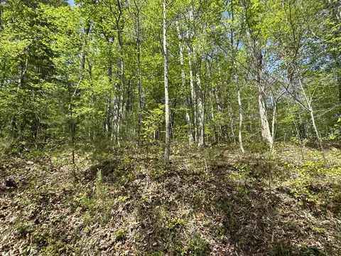 0 Dry Hill Rd, Ferrum, VA 24088 photo 8