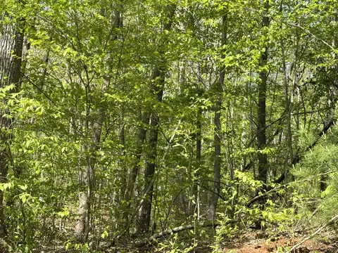 0 Dry Hill Rd, Ferrum, VA 24088 photo 7