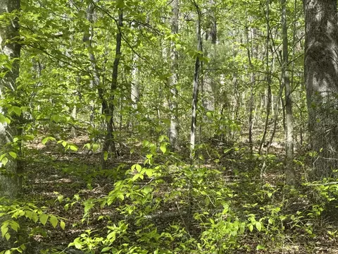 0 Dry Hill Rd, Ferrum, VA 24088 photo 3