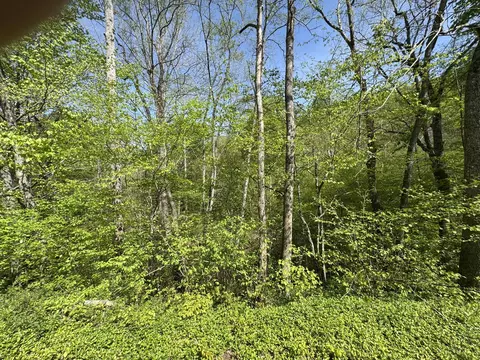 00 Dry Hill Rd, Ferrum, VA 24088 photo 10