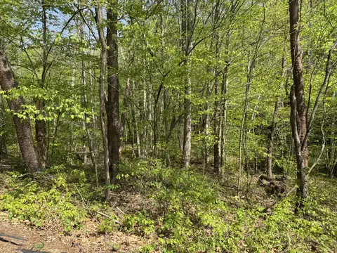 00 Dry Hill Rd, Ferrum, VA 24088 photo 8