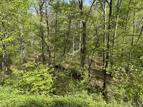 00 Dry Hill Rd, Ferrum, VA 24088 photo 11