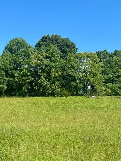 lot1 Virginia Ridge Dr, Hardy, VA 24101