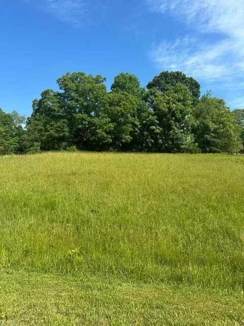 lot2 Virginia Ridge Dr, Hardy, VA 24101