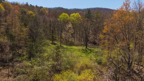 tbd Byrnes Chapel Rd, Bland, VA 24315