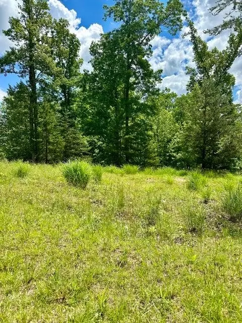 lot30 Commonwealth Dr, Hardy, VA 24101