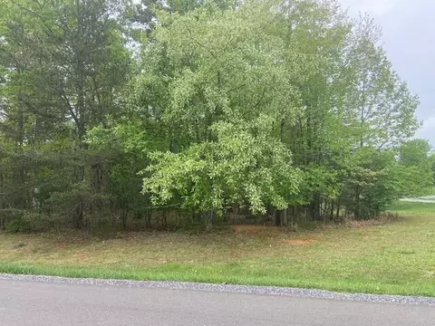 lot2 Chesney Pl, Blue Ridge, VA 24064 photo 3