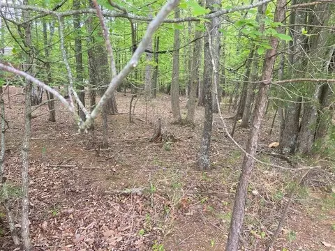 lot2 Chesney Pl, Blue Ridge, VA 24064 photo 6