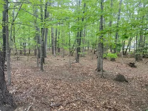 lot2 Chesney Pl, Blue Ridge, VA 24064 photo 9