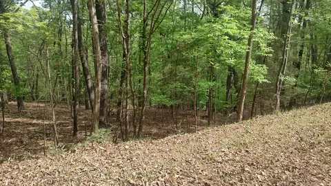 lot52 Shad Run Dr, Moneta, VA 24121